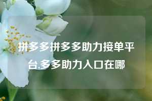 拼多多拼多多助力接单平台,多多助力入口在哪