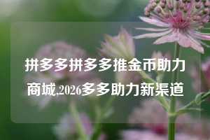 拼多多拼多多推金币助力商城,2026多多助力新渠道