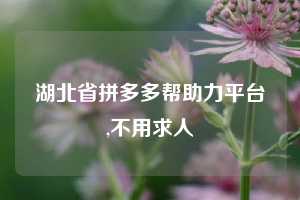 湖北省拼多多帮助力平台,不用求人