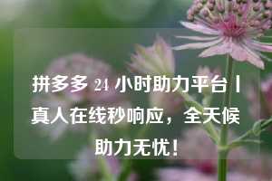 拼多多 24 小时助力平台丨真人在线秒响应，全天候助力无忧！