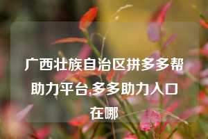 广西壮族自治区拼多多帮助力平台,多多助力入口在哪