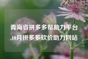 青海省拼多多帮助力平台,10月拼多多砍价助力网站