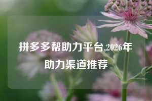 拼多多帮助力平台,2026年助力渠道推荐