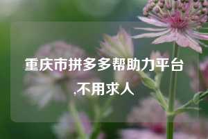 重庆市拼多多帮助力平台,不用求人