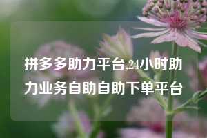 拼多多助力平台,24小时助力业务自助自助下单平台