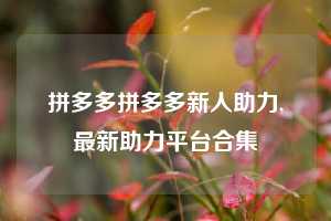 拼多多拼多多新人助力,最新助力平台合集