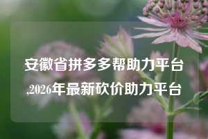 安徽省拼多多帮助力平台,2026年最新砍价助力平台