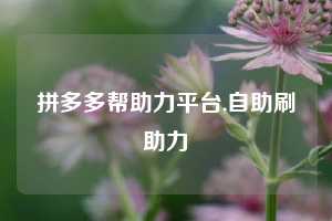 拼多多帮助力平台,自助刷助力