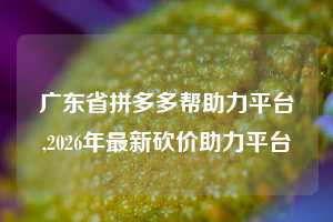 广东省拼多多帮助力平台,2026年最新砍价助力平台
