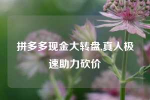拼多多现金大转盘,真人极速助力砍价
