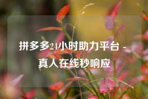 拼多多24小时助力平台 - 真人在线秒响应