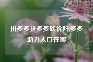 拼多多拼多多砍价群,多多助力入口在哪