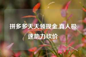 拼多多天天领现金,真人极速助力砍价