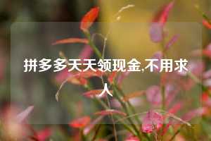 拼多多天天领现金,不用求人