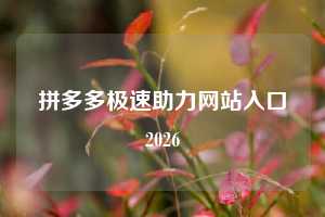 拼多多极速助力网站入口2026
