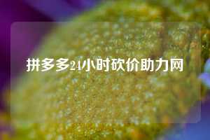拼多多24小时砍价助力网