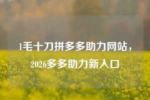 1毛十刀拼多多助力网站，2026多多助力新入口