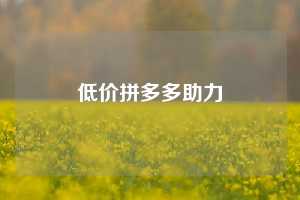 低价拼多多助力