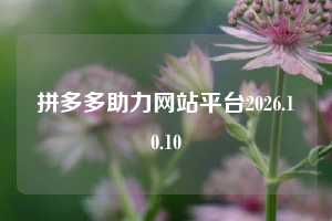 拼多多助力网站平台2026.10.10