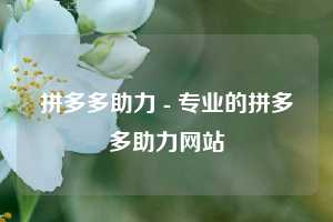 拼多多助力 - 专业的拼多多助力网站
