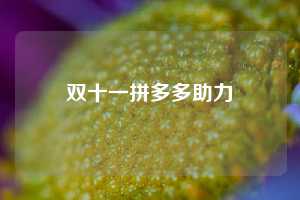 双十一拼多多助力